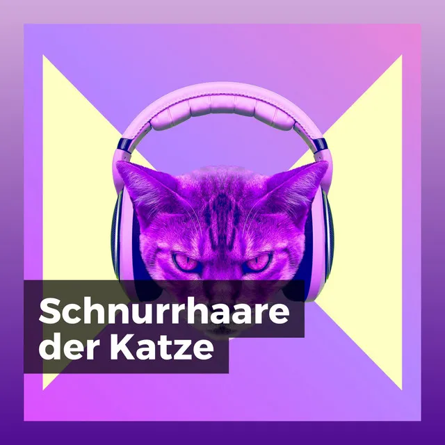 Schnurrhaare der Katze