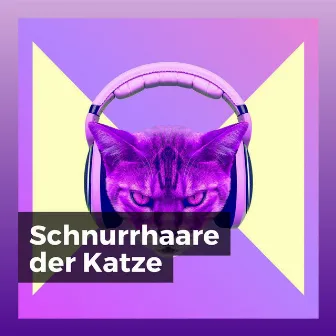 Schnurrhaare der Katze by Katzenmusik