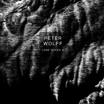 Lone Series 1: Swarm by Peter Wolff