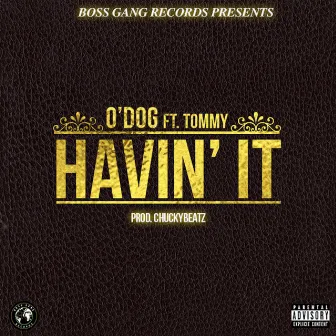 Havin It by O Dog