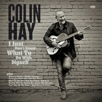 I Just Don't Know What To Do With Myself by Colin Hay