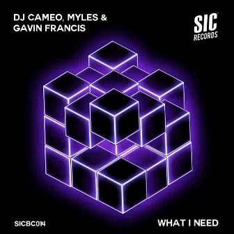 What I Need by DJ Cameo