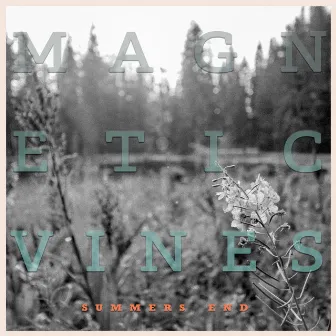 Summer's End by Magnetic Vines