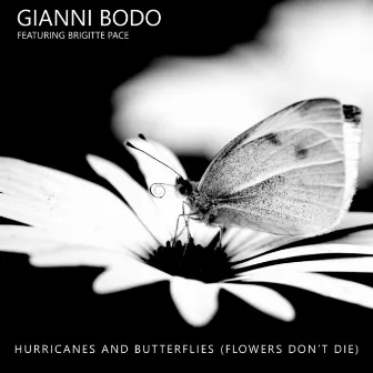 Hurricanes and Butterflies (Flowers Don't Die) by Gianni Bodo