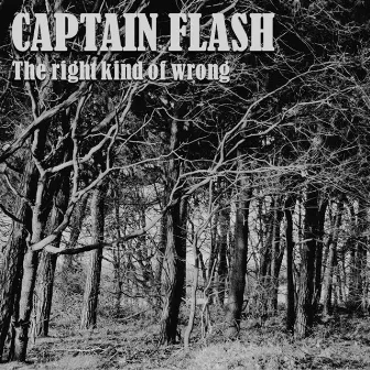 The Right Kind of Wrong by Captain Flash