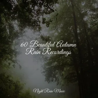 60 Beautiful Autumn Rain Recordings by The Relaxation Principle