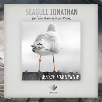 Seagull Jonathan by Maybe Tomorrow