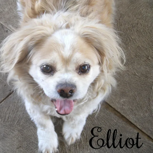 Elliot