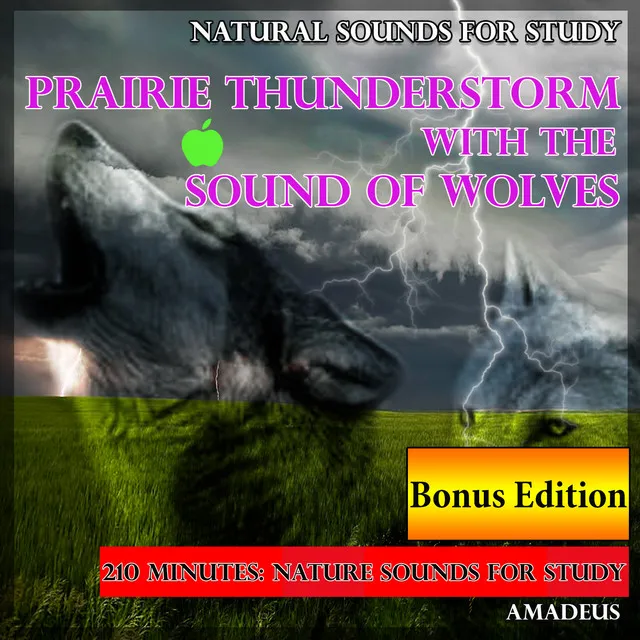 Natural Sounds for Study: Prairie Thunderstorm with the Sound of Wolves: Bonus Edition