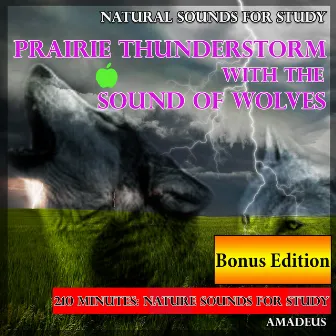 Natural Sounds for Study: Prairie Thunderstorm with the Sound of Wolves: Bonus Edition by Amadeus