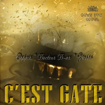 C'est gaté by Docteur D-ar