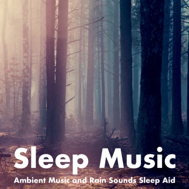 Ambient Music