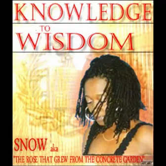 Knowledge To Wisdom by Snow