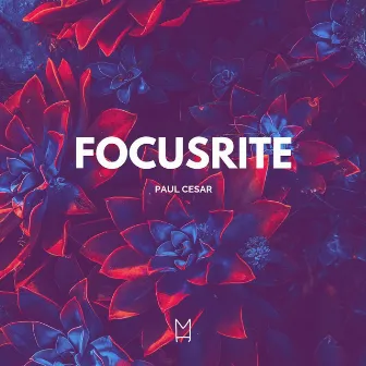 Focusrite by Paul Cesar