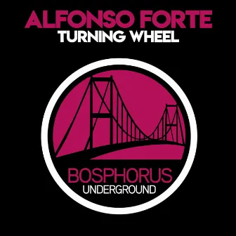 Turning Wheel by Alfonso Forte