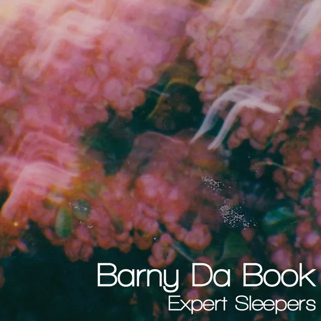 Expert Sleepers