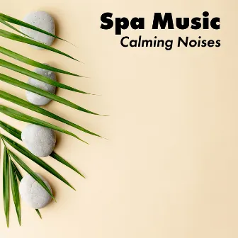 Spa Music - Calming Noises. Delicate Music Perfect for Rest and Relax by New Beginning Music Masters