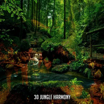 30 Jungle Harmony by Sleep Sounds Of Nature