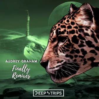 Finally Remixes by Audrey Graham