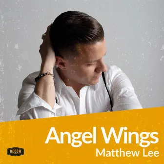 Angel Wings by Matthew Lee