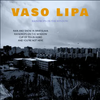 Raindrops On The Window by Vaso Lipa