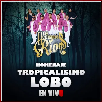 Homenaje Tropicalísimo Lobo (En Vivo) by Los Hermanos Ríos