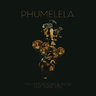 Phumelela by Nana Atta