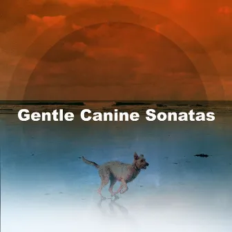 Gentle Canine Sonatas by Music for Puppies