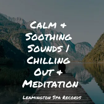 Calm & Soothing Sounds | Chilling Out & Meditation by Tinnitus