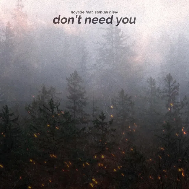 Don't Need You