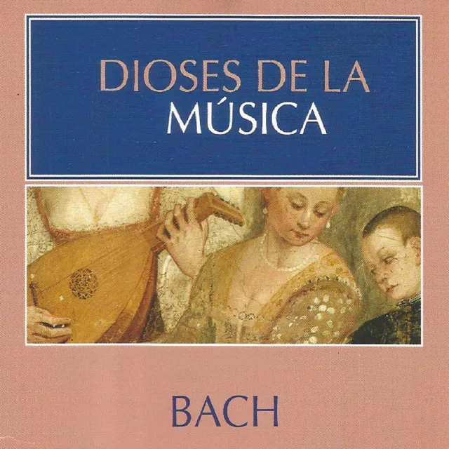 Concerto for 2 Violins in D Minor, BWV 1043: II. Largo, ma non tanto