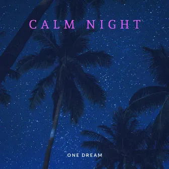 Calm Night by One Dream