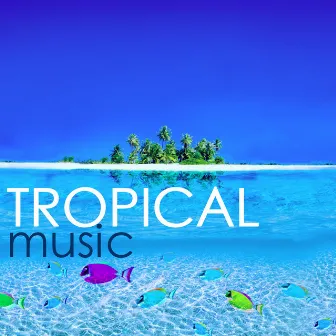 Tropical Music – Lounge Buddha Bar Café for Cocktail Party Night on the Beach by Unknown Artist