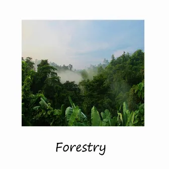 Forestry by Dylan A