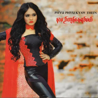 Nan Mal Kyan Nay Yit Mal by Phyu Phyu Kyaw Thein