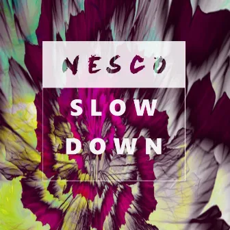 Slow Down by NESCO