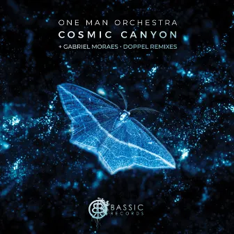 Cosmic Canyon by One Man Orchestra