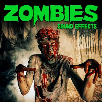 Zombies Sound Effects by Sound Ideas