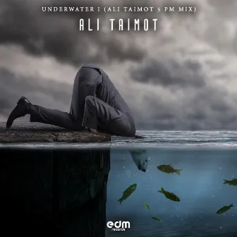 Underwater I (5 PM Mix) by Ali Taimot