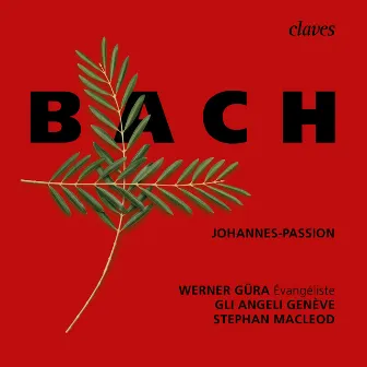 J.S. Bach: Johannes-Passion, BWV 245 by Stephan MacLeod