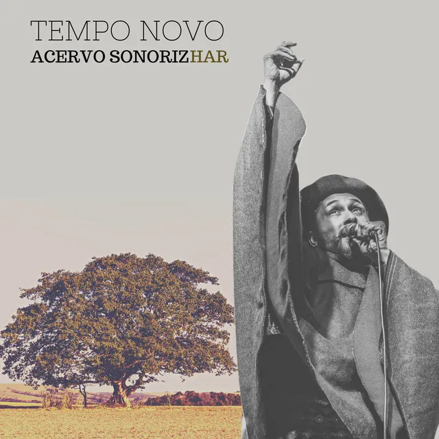 Tempo Novo - Acervo Sonorizhar