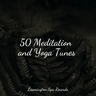 50 Meditation and Yoga Tunes by Tonal Meditation Collective