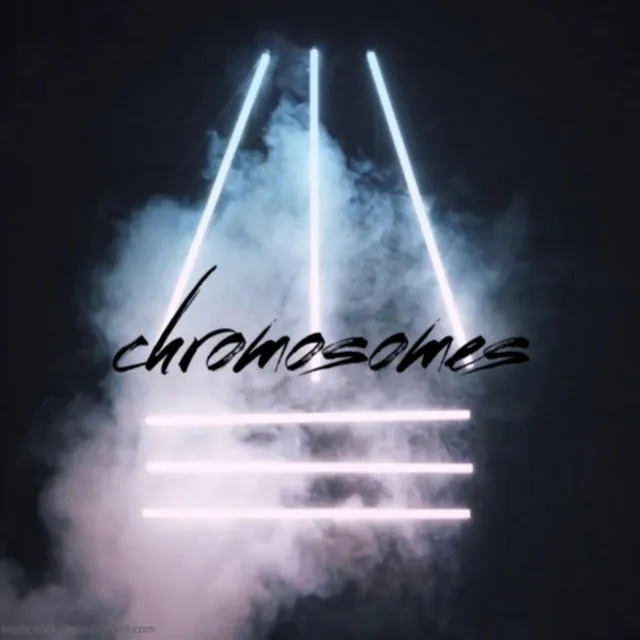 Chromosomes