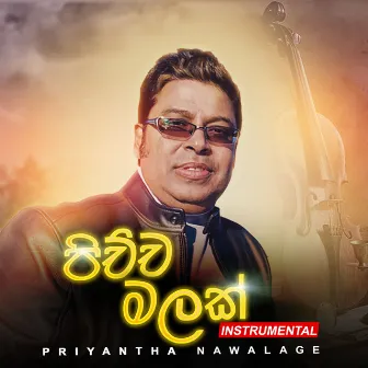 Pichcha Malak (Instrumental) by Priyantha Nawalage