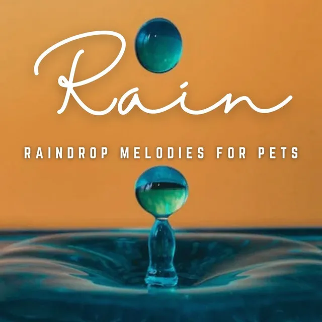 Furry Friend's Harmony in Rain