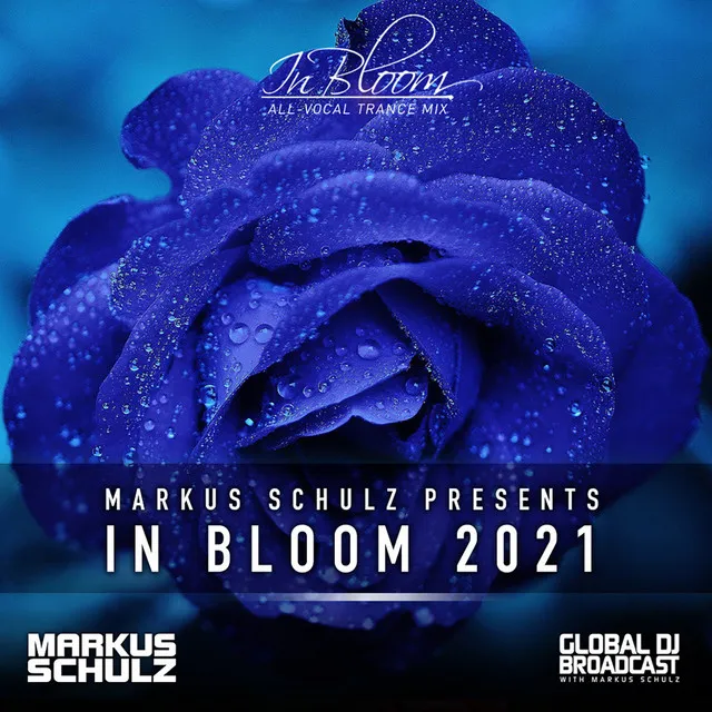 Turn Me Down (In Bloom 2021) - D72 Remix