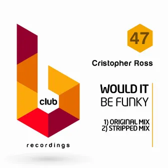 Would It Be Funky by Cristopher Ross