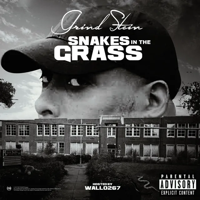 Snakes in the Grass