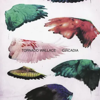 Circadia by Tornado Wallace