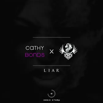 LIAR by Unknown Artist